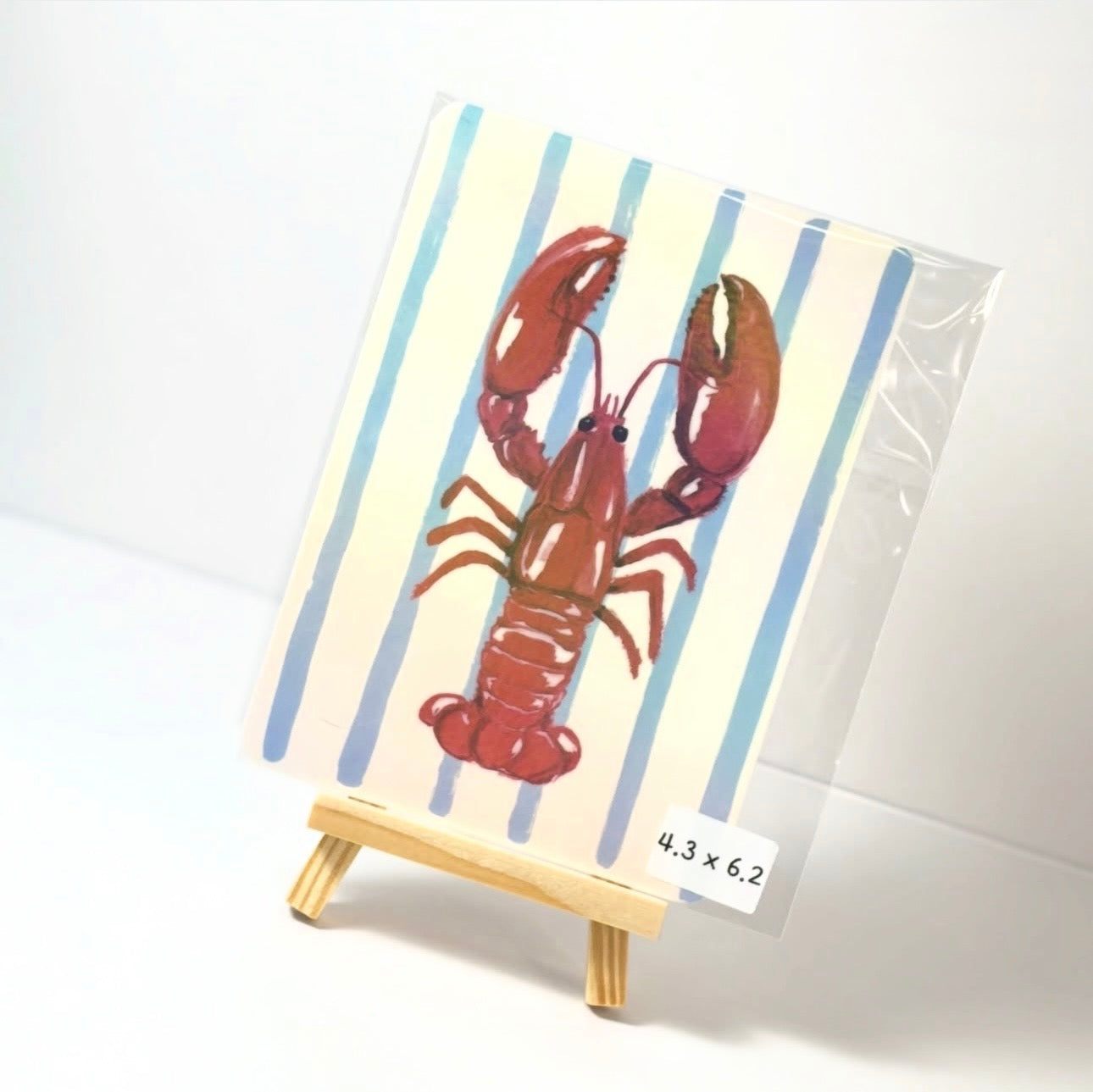Decorative E-Reader Inserts